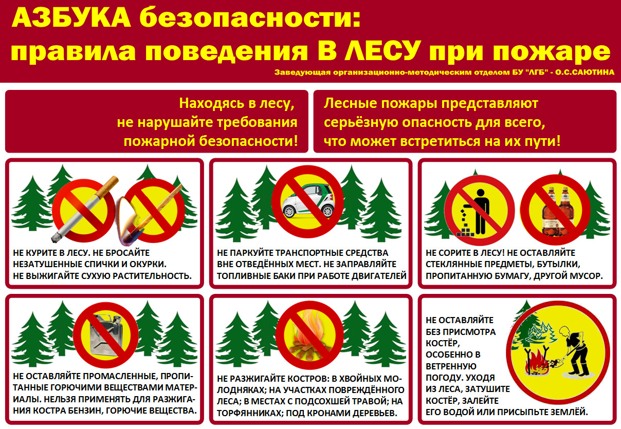 Bezopasnost v lesy 1